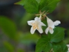 dsc_6381.jpg