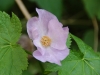 dsc_6383.jpg