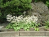 dscf1857.jpg