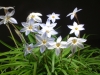 dscf2637.jpg