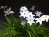 dscf2647.jpg
