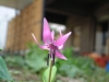 dscf2725.jpg