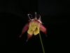 dscf2927.jpg