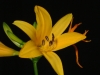 dscf3036.jpg