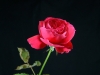 dscf3197.jpg