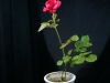dscf3199.jpg
