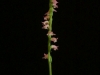 dscf3279-1.jpg