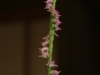 dscf3282.jpg