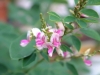 dscf3286.jpg