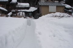 dsc02858-nggid03628-ngg0dyn-240x160x100-00f0w010c011r110f110r010t010