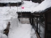 thumbs_dsc02849