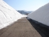 thumbs_dsc02861