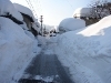 thumbs_dsc02841