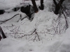 thumbs_dsc02854